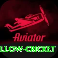 willow cricket Pro Max v1.2.8