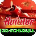 world t20 schedule Apps (Tools & Injectors) Turbo v4.8.2